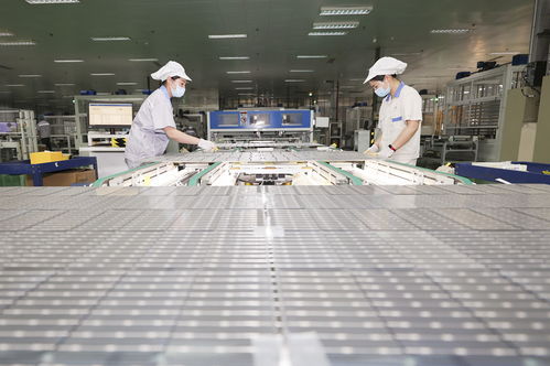 超級中國縣 連云港贛榆區 一張漁網與新產業的探戈